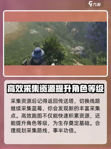 七日世界💎蓝莓采集点位置大曝光！速来打卡🔥截图4