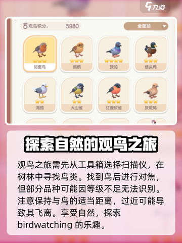 心动小镇观鸟操作攻略🔥超详细介绍！BirdWatching✨截图3
