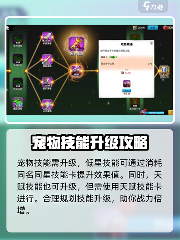 万龙觉醒🔥宠物技能全解析❗升级必备✨截图4