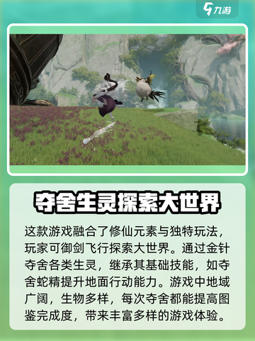 代号界女主竟是她！🔥《原神》隐藏秘密大曝光✨截图3