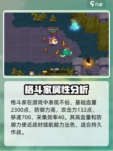 英勇之地🔥格斗家超强详细介绍来啦！💥截图2