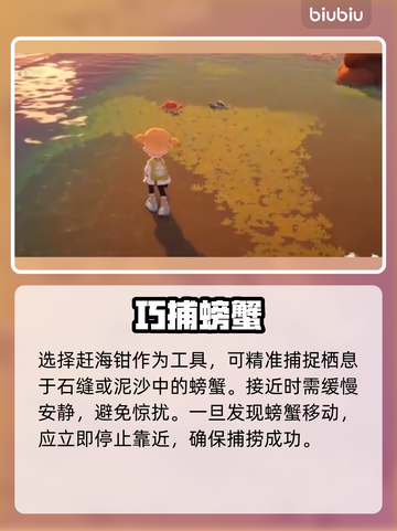 🦀星布谷地抓蟹神技！3分钟爆赚1000金截图2