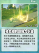 星痕共鸣智力系职业有哪些介绍截图5