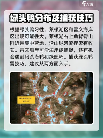 猎人之路🔥绿头鸭抓捕秘籍🎉截图3