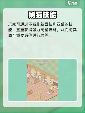 🎮《猫咪和汤》西伯利亚猫养成攻略大揭秘！截图4