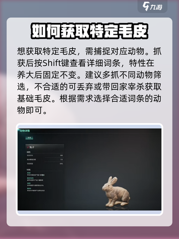 七日世界🔥金羊毛获取秘籍💡玩家必看！截图6