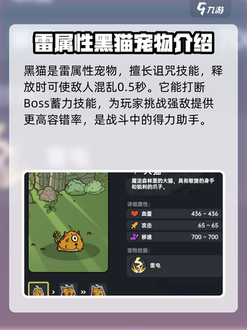 英勇之地🔥宠物推荐来啦！玩手游必看💥截图3