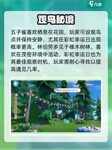 心动小镇观鸟解锁攻略！🐦✨截图3