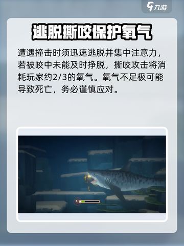 潜水员戴夫虎鲨在哪介绍截图3