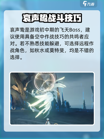 鸣潮🔥哀声鸷全面介绍来了！新手必看👇截图2