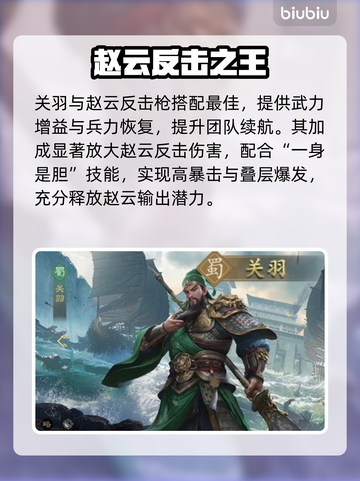 《王者赵云秒人连招🔥》截图4