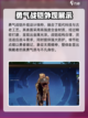 塔瑞斯世界影刃者外观有哪些介绍截图4