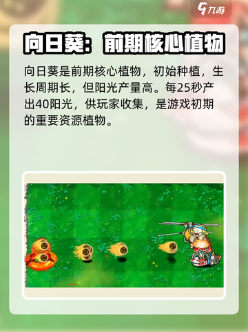植物大战僵尸杂交版向日葵怎么样介绍截图2