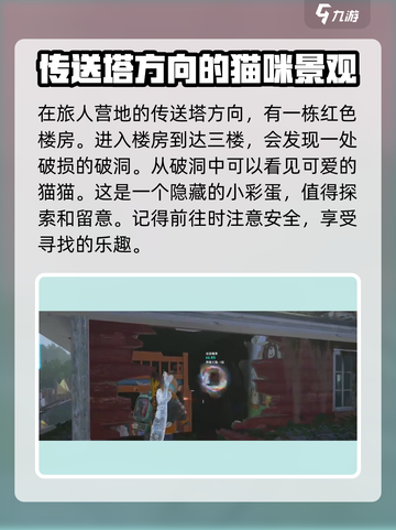 七日世界💡异维大猫捕捉位置🔥超全攻略来啦！截图6
