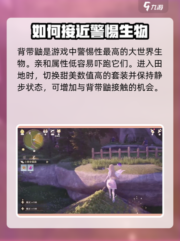 无限暖暖背带鼬是什么介绍截图4