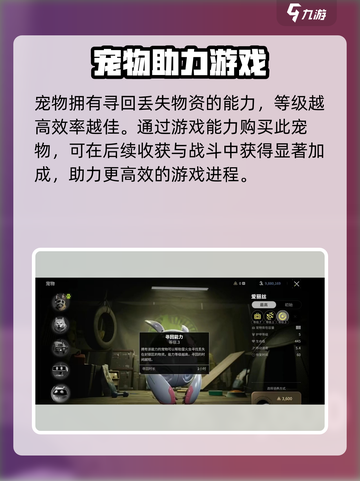 萤火突击爱丽丝超详细强度解析🔥游戏新手必看！截图4