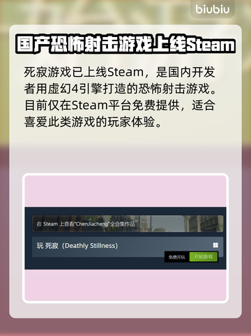 死寂游戏上线平台大曝光！🔥玩家必看📖截图2