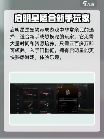 萤火突击🔥启明星超全介绍来啦！新手必看✨截图3