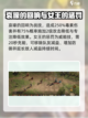 龙息神寂🔥初始人物抽谁最强？新手必看！截图6