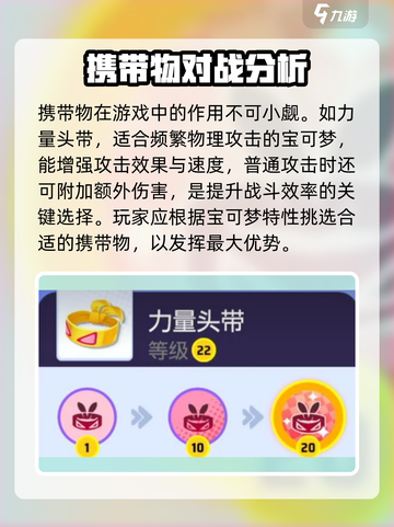 宝可梦大集结携带物有哪些介绍截图2