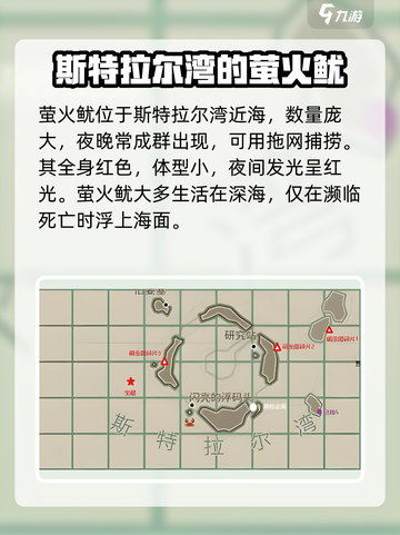 渔帆暗涌萤火鱿位置在哪介绍截图2