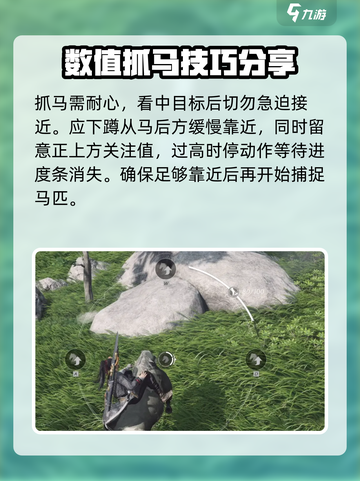 燕云十六声🔥秦马捕捉超全攻略🎉截图4