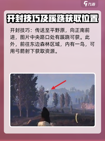 燕云十六声开封隐雾林蹊跷介绍介绍截图2