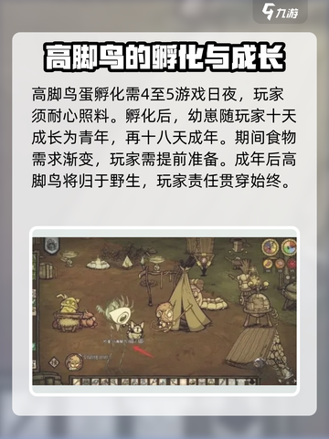 饥荒联机版高脚鸟蛋怎么孵化介绍截图5
