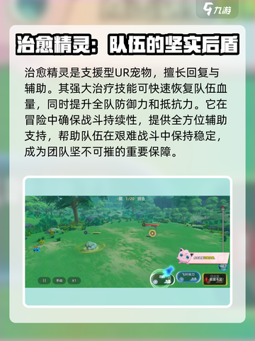 喵喵爱冒险UR宠🔥最强搭配揭秘！🎮截图3