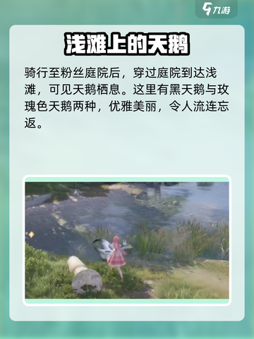 无限暖暖🔥天鹅绒获取攻略💎轻松到手！截图3