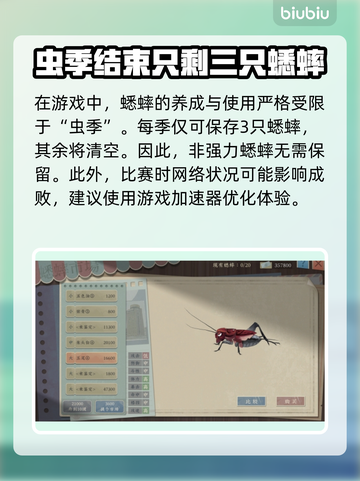 沉默的蟋蟀加速器推荐🔥玩手游必备！🚀截图2