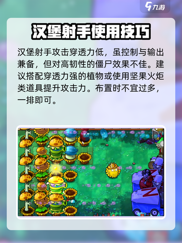 植物大战僵尸杂交版💥汉堡射手超厉害🔥截图4