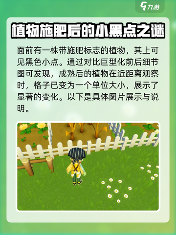 心动小镇巨型植物种植攻略介绍截图3