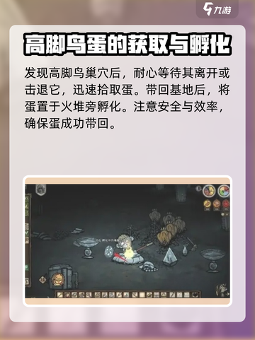 饥荒联机版高脚鸟蛋怎么孵化介绍截图2