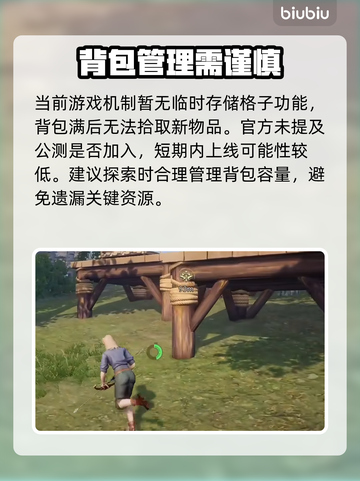 【荒原曙光】背包神技🔥秒变仓库大师！截图2