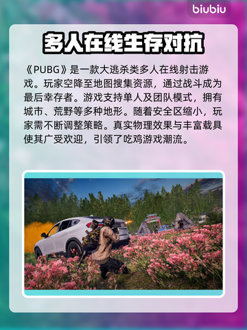 PUBG显存不足闪退？内存优化攻略来了！💥🔥截图2