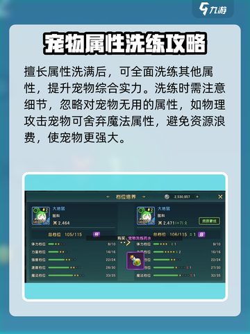 魔力宝贝复兴版🔥宠物洗练终极攻略来了！快人一步🚀截图4