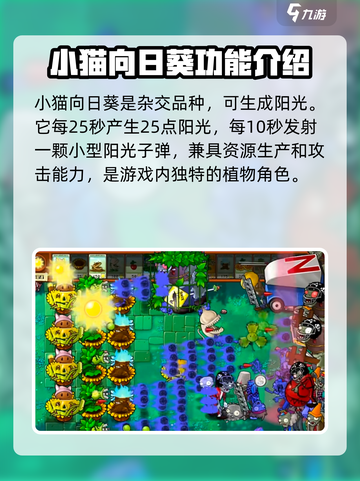 植物大战僵尸：小猫向日葵⚡超强用法曝光！截图2