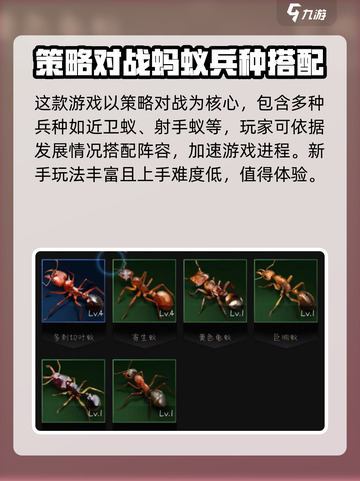 小小蚁国国内什么时候上线介绍截图3