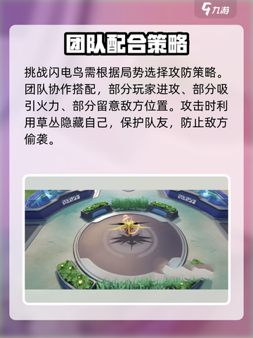 宝可梦大集结闪电鸟介绍介绍截图4