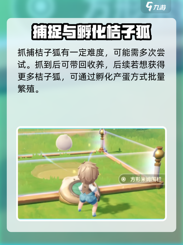 米姆米姆哈桔子狐怎么获取介绍截图5