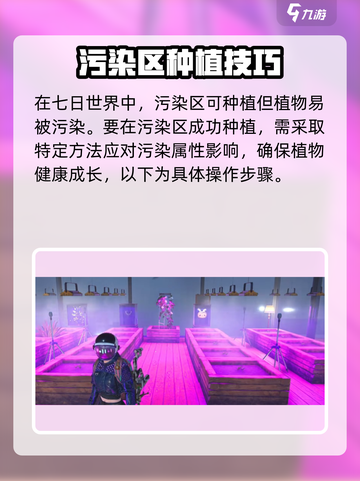七日世界污染区种植方法介绍截图2