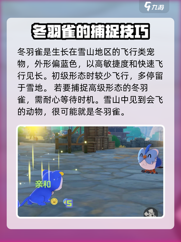 洛克王国世界冬羽雀怎么捕捉介绍截图2