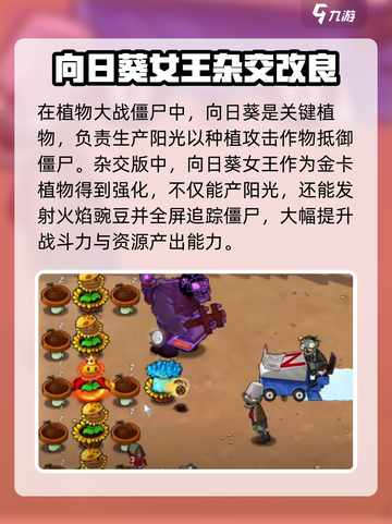 植物大战僵尸：杂交向日葵节能秘籍🔥向日葵爱好者必看！截图2