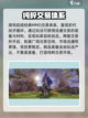 剑灵2手游公测时间🔥等你来战！🎉截图4