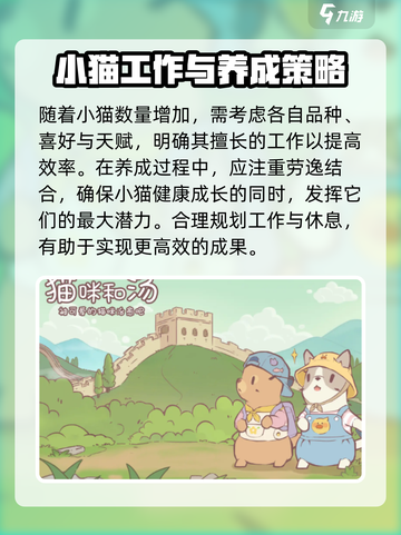 猫咪和汤：后期真相大揭秘！🎮🔥截图4