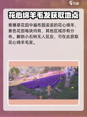 无限暖暖💥花心绵羊等你来抓！🐑🎮截图4