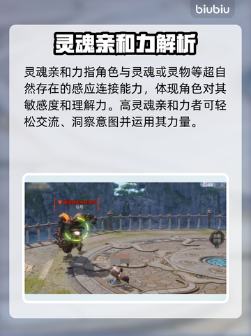 剑灵2灵魂亲和力大揭秘🔥助你战力飙升！截图2