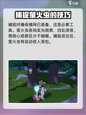 心动小镇怎么抓萤火虫介绍截图4