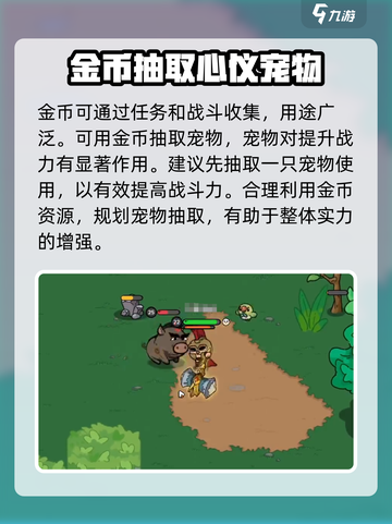 英勇之地🔥新手必看！快速上手秘籍💥截图5